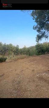 Αγροτεμάχια 1.859τ.μ. για πώληση-Μοσφιλωτή