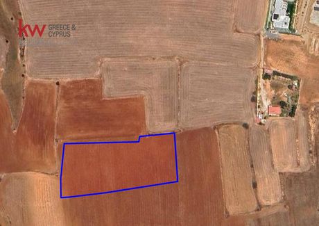 Αγροτεμάχια 6.412τ.μ. για πώληση-