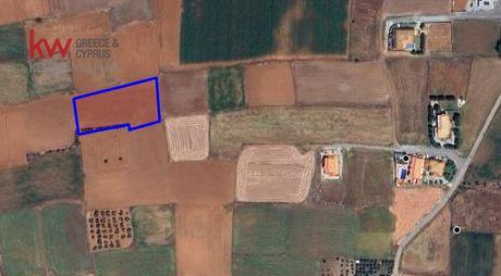 Αγροτεμάχια 3.913τ.μ. για πώληση-