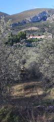 Αγροτεμάχια 2.800 τ.μ. για πώληση