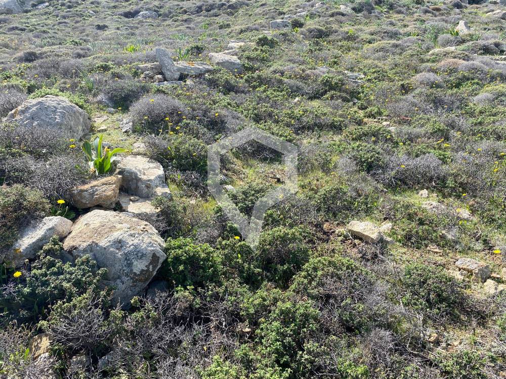 Γη 1.092 τ.μ. προς ενοικίαση, Κυκλάδες, Μύκονος