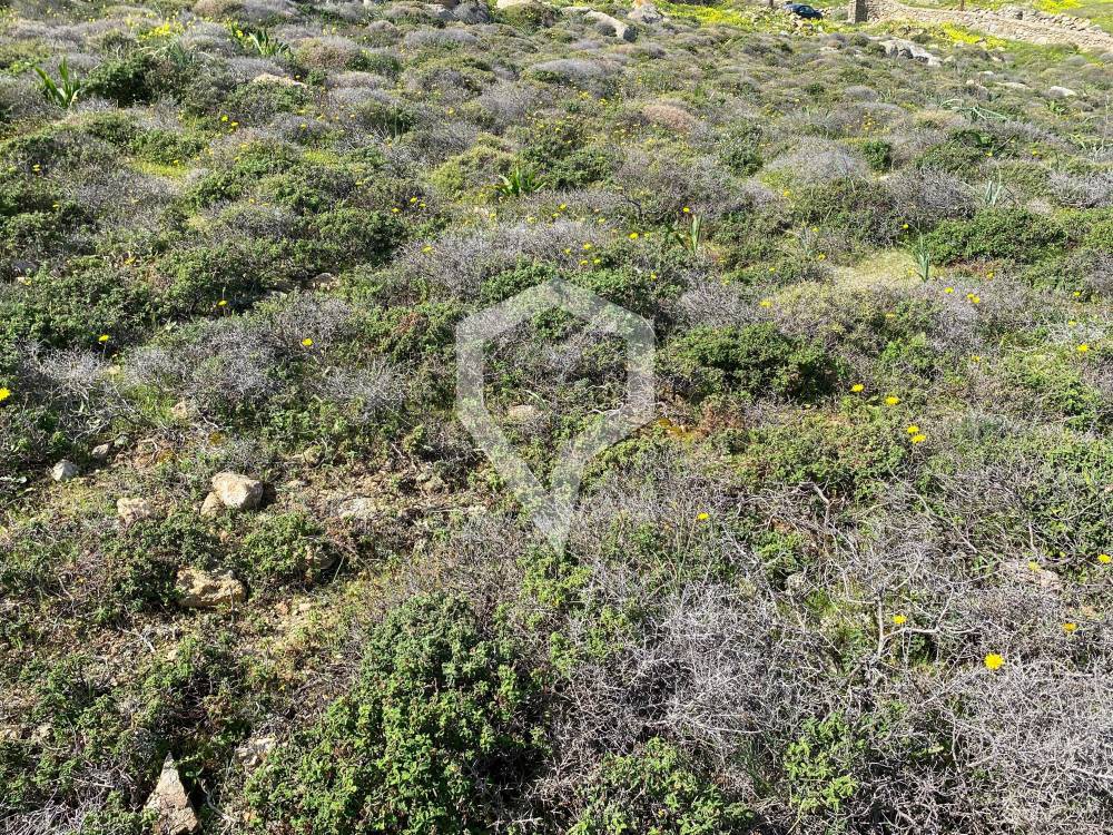 Γη 3.516 τ.μ. προς ενοικίαση, Κυκλάδες, Μύκονος