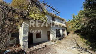Αγροτεμάχια 4.329 τ.μ. για πώληση