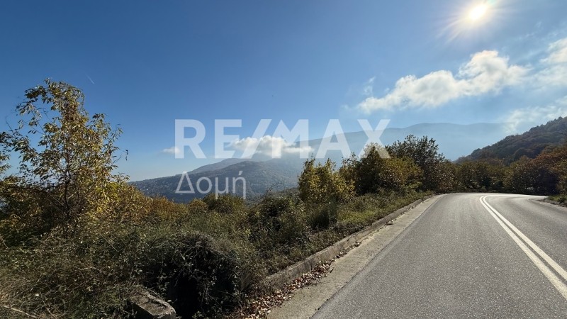 Αγροτεμάχια 4.329 τ.μ. προς πώληση, Κισσός Μουρεσίου