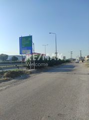 Αγροτεμάχια 4.400 τ.μ. για πώληση