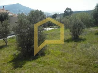 Οικόπεδο 456 τ.μ. προς πώληση