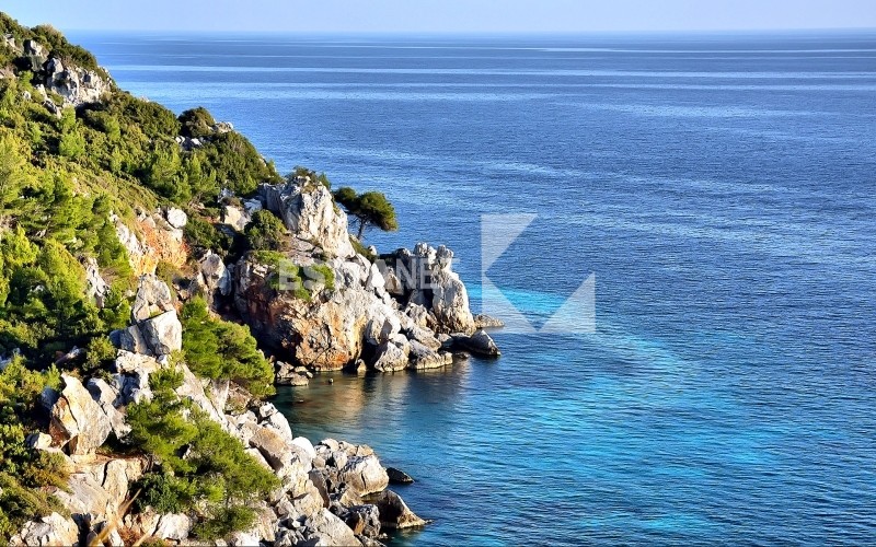 Αγροτεμάχια 55.000 τ.μ. προς πώληση, Αγία Παρασκευή Παλλήνης