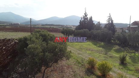 Διαμέρισμα 74τ.μ. για ενοικίαση-Θέρμη » Περιστερά