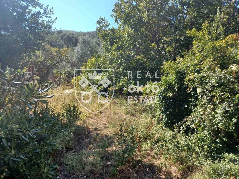 Οικόπεδο 800 τ.μ. πρός πώληση, Θεσσαλονίκη - Περιφ/Κοί Δήμοι, Πεύκα
