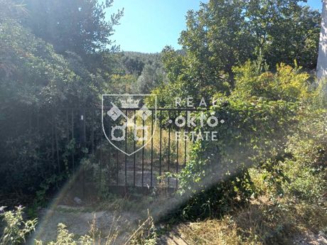 Οικόπεδο 800 τ.μ. πρός πώληση