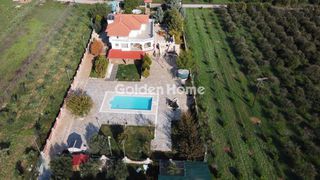 Μονοκατοικία 385 τ.μ. προς πώληση, Αγία Τριάδα Μιδέας-thumb-44