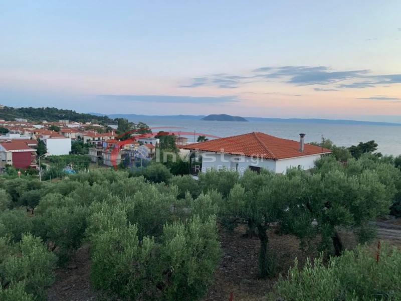 Αγροτεμάχια 5.800 τ.μ. προς πώληση, Παράδεισος Σιθωνίας