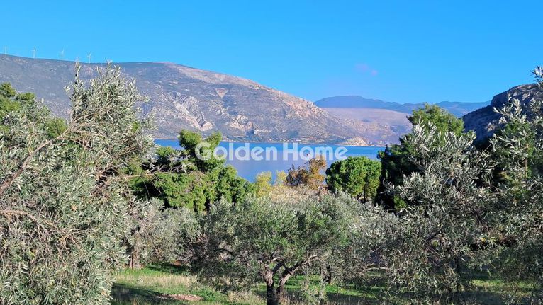 Land plot 1.564 sqm for sale, Boeotia, Antikira