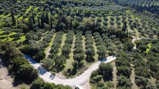Οικόπεδο 12.000 τ.μ. για πώληση
