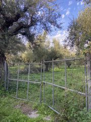 Οικόπεδο 1.386 τ.μ. για πώληση