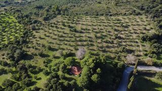 Μονοκατοικία 70 τ.μ. για πώληση, Μεσσηνία, Αετού-thumb-4