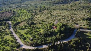 Μονοκατοικία 70 τ.μ. για πώληση