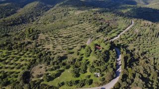 Μονοκατοικία 70 τ.μ. για πώληση, Μεσσηνία, Αετού-thumb-16