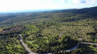 Μονοκατοικία 70 τ.μ. για πώληση, Μεσσηνία, Αετού-thumb-5