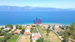 Αγροτεμάχια 500 τ.μ. για πώληση