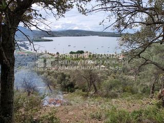 Αγροτεμάχια 10.740 τ.μ. για πώληση