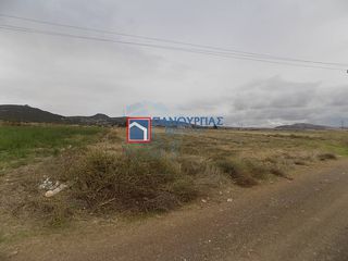 Αγροτεμάχια 1.824 τ.μ. για πώληση