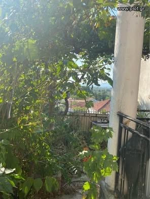 Μονοκατοικία 120 τ.μ. πρός πώληση, Φθιώτιδας, Εχιναίων