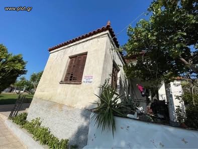 Μονοκατοικία 120 τ.μ. πρός πώληση, Φθιώτιδας, Εχιναίων