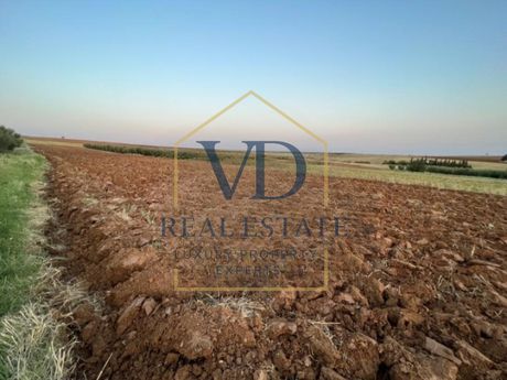 Parcel 10.000 sqm for sale