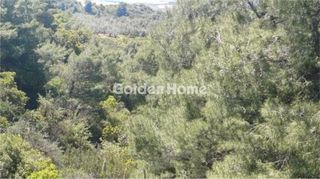 Αγροτεμάχια 1.220 τ.μ. για πώληση