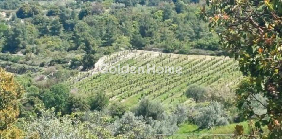 Αγροτεμάχια 9.897 τ.μ. προς πώληση, Ψώρα
