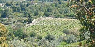 Αγροτεμάχια 9.897 τ.μ. για πώληση