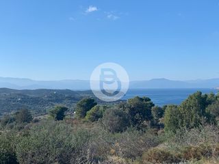 Οικόπεδο 200.000 τ.μ. για πώληση