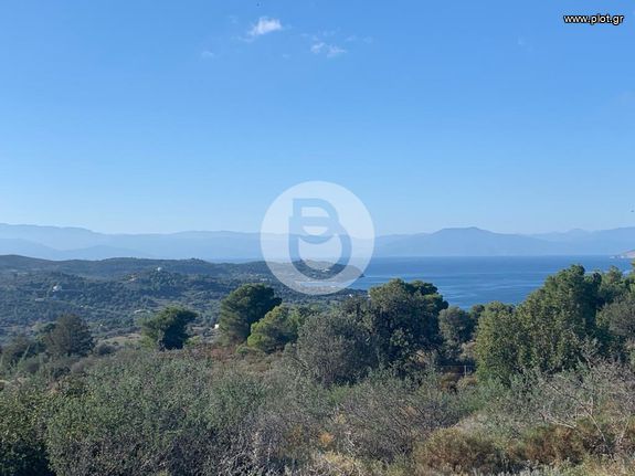 Οικόπεδο 200.000 τ.μ. για πώληση, Αργολίδα, Κρανίδι