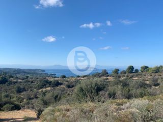 Οικόπεδο 200.000 τ.μ. για πώληση, Αργολίδα, Κρανίδι-thumb-1