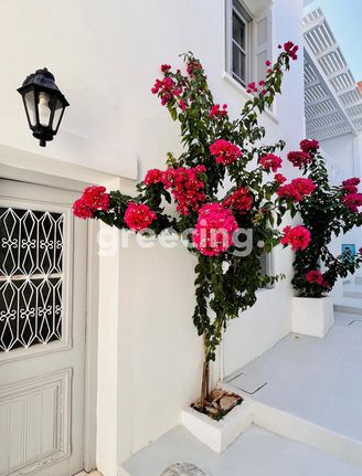 Detached home 120 sqm for sale, Cyclades, Naxos - Drimalia