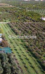 Οικόπεδο 2.500 τ.μ. για πώληση