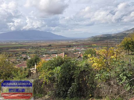 Οικόπεδο 810τ.μ. για πώληση-Φίλιπποι