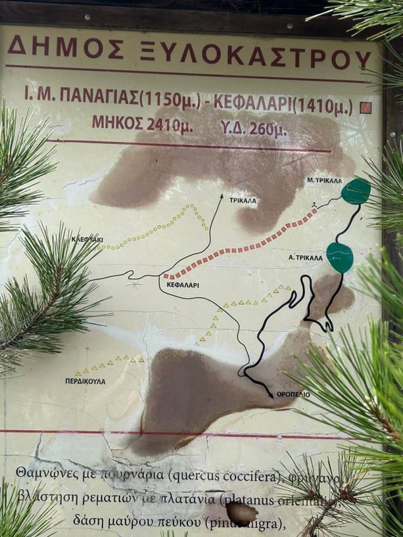 Οικόπεδο 5.655 τ.μ. πρός πώληση, Κορινθία, Ξυλόκαστρο