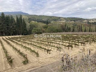 Οικόπεδο 10.000 τ.μ. για πώληση