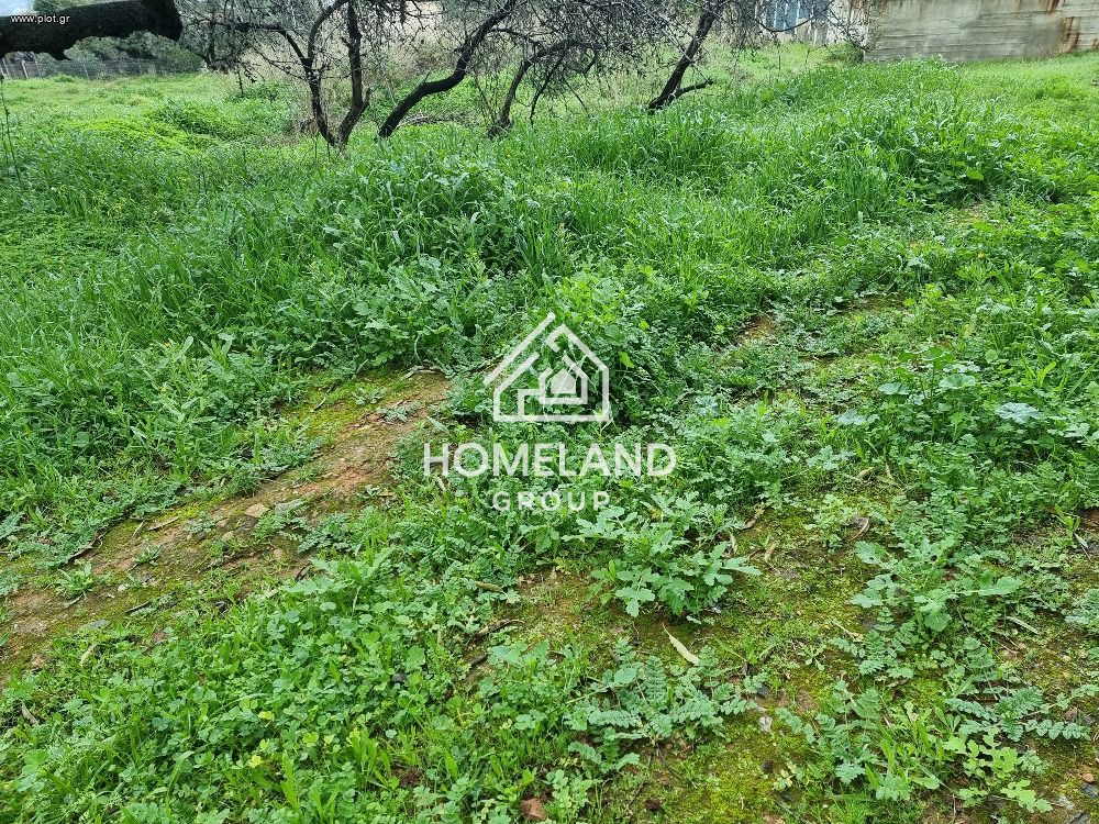 Αγροτεμάχια 600 τ.μ. πρός πώληση, Αθήνα - Ανατολικά Προάστια, Γλυκά Νερά