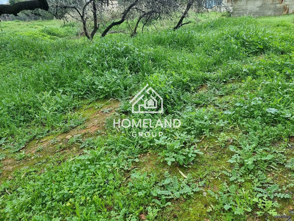 Αγροτεμάχια 400 τ.μ. πρός πώληση, Αθήνα - Ανατολικά Προάστια, Γλυκά Νερά