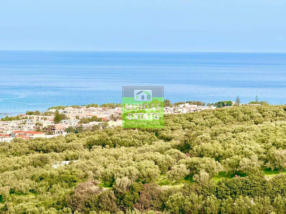 Οικόπεδο 4.000 τ.μ. προς πώληση, Αγία Μαρίνα Νέας Κυδωνίας