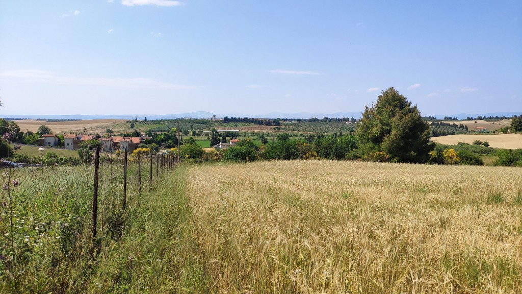 Αγροτεμάχια 10.300 τ.μ. πρός πώληση, Χαλκιδική, Κασσάνδρα