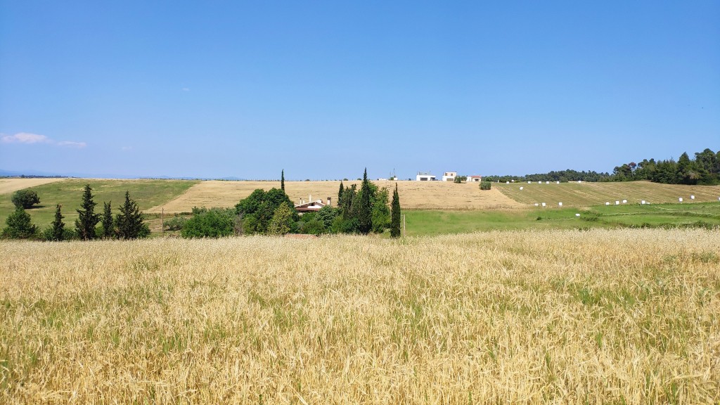 Αγροτεμάχια 10.300 τ.μ. πρός πώληση, Χαλκιδική, Κασσάνδρα