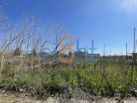Αγροτεμάχια 4.005 τ.μ. προς πώληση