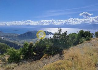Αγροτεμάχια 31.000 τ.μ. για πώληση