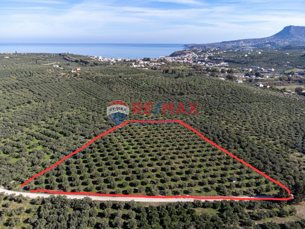 Οικόπεδο 16.000 τ.μ. προς πώληση, Καλύβες Αρμενών
