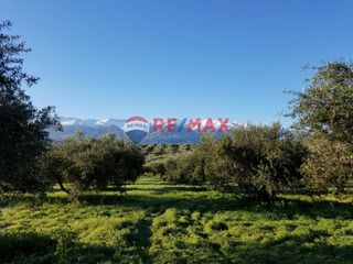Οικόπεδο 16.000 τ.μ. για πώληση