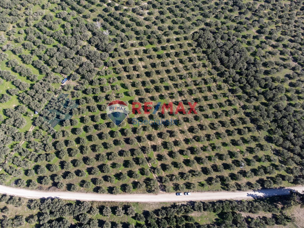 Οικόπεδο 16.000 τ.μ. προς πώληση, Καλύβες Αρμενών